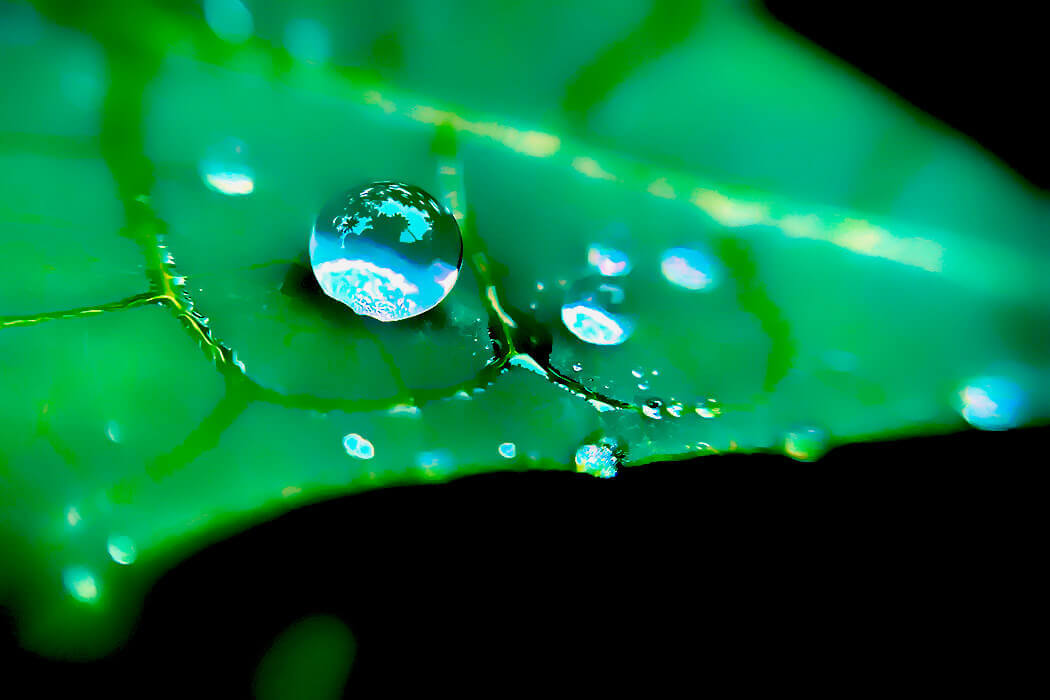Raindrop falling into water Raindrop falling into water